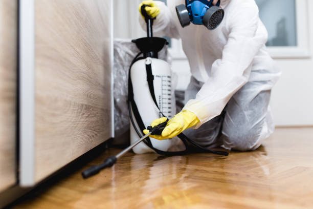 Best Residential Pest Control  in Mount Angel, OR