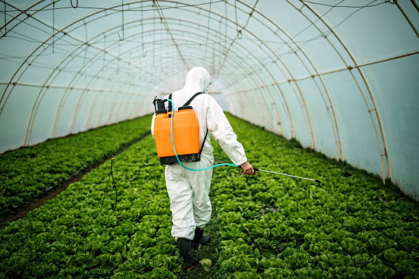 Best Pest Inspection Near Me  in Mount Angel, OR
