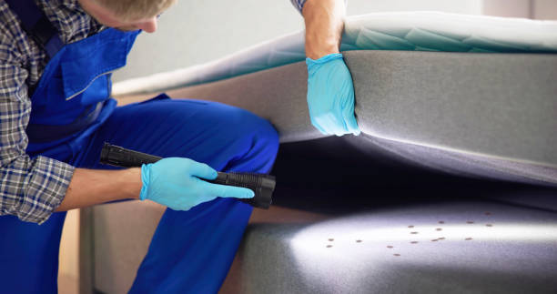 Best Pest Removal Services  in Mount Angel, OR
