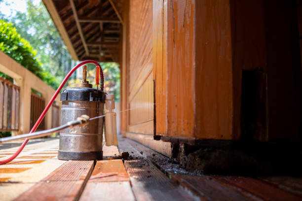 Best Insect Control  in Mount Angel, OR