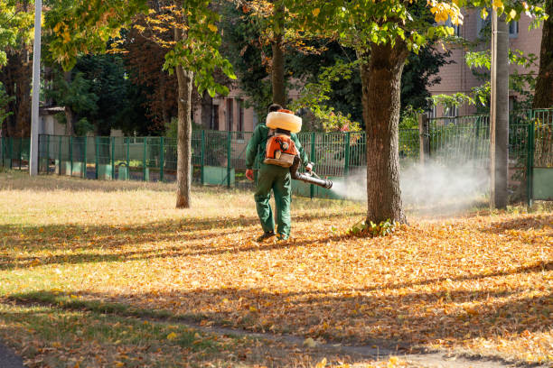 Best Best Pest Control Companies  in Mount Angel, OR