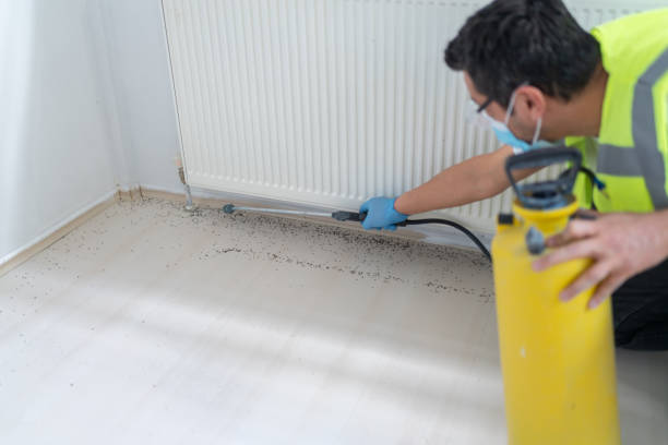 Professional Pest Control in Mount Angel, OR